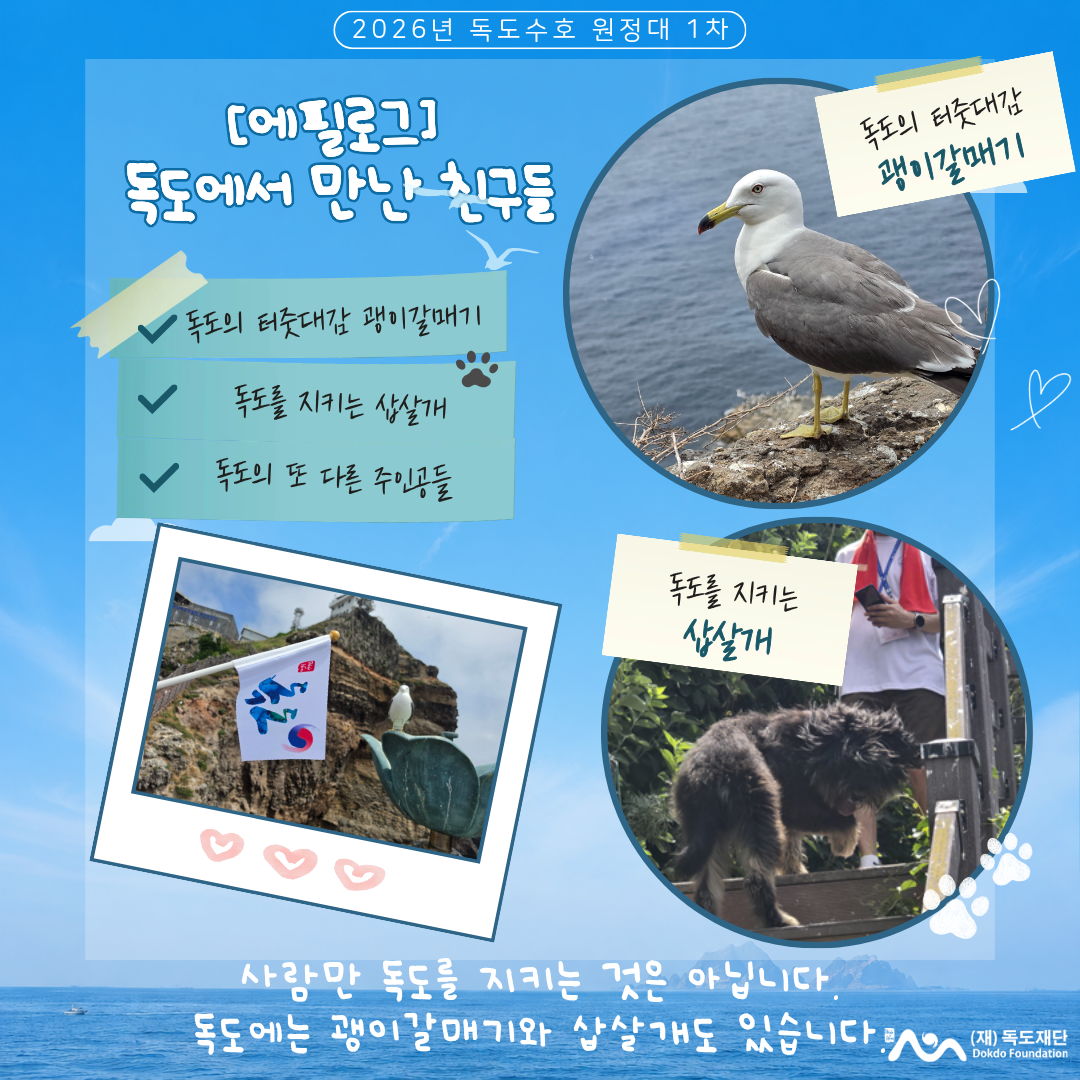 [독도수호원정대 1차 에필로그] 독도에서 만난 친구들